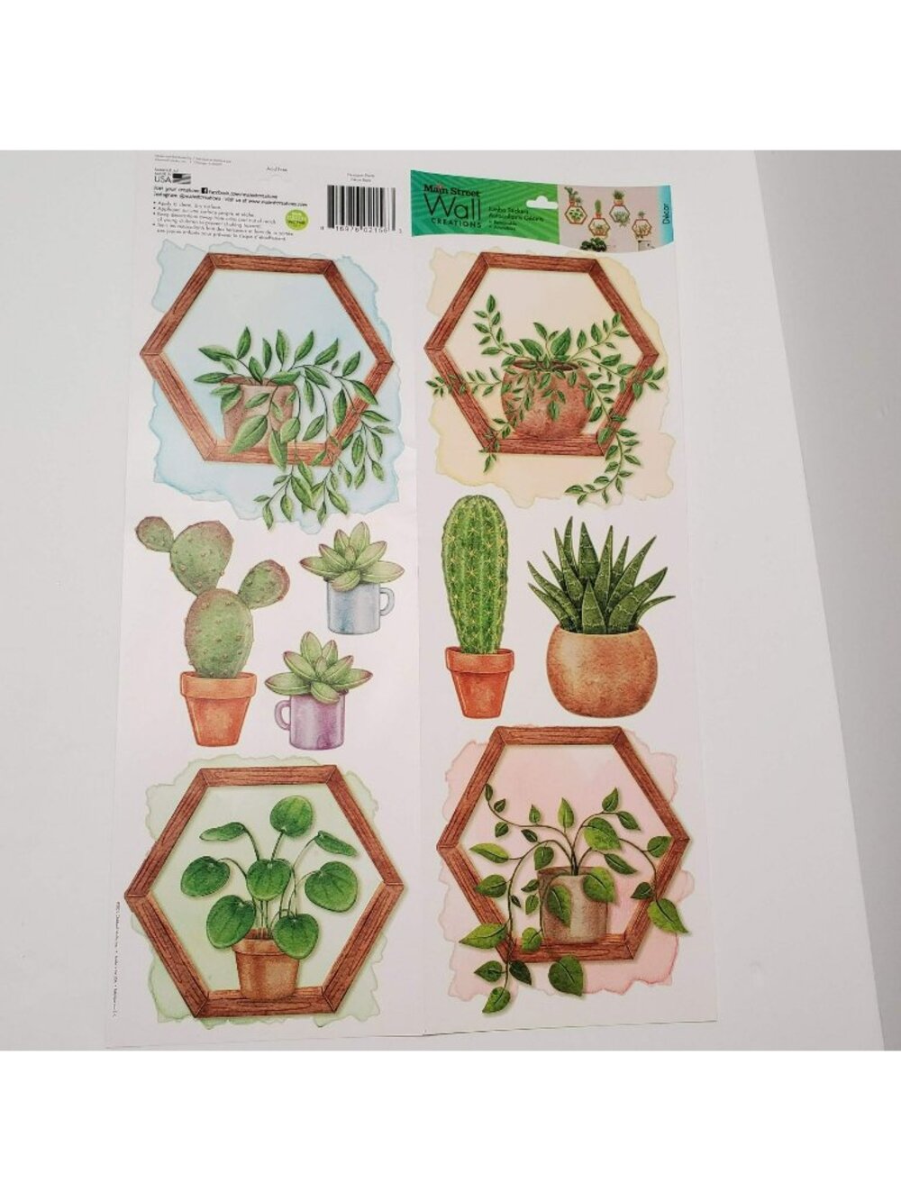 House Plant Wall Art, Succulents Cactus, Wall Stickers Decals, Succulent Decor